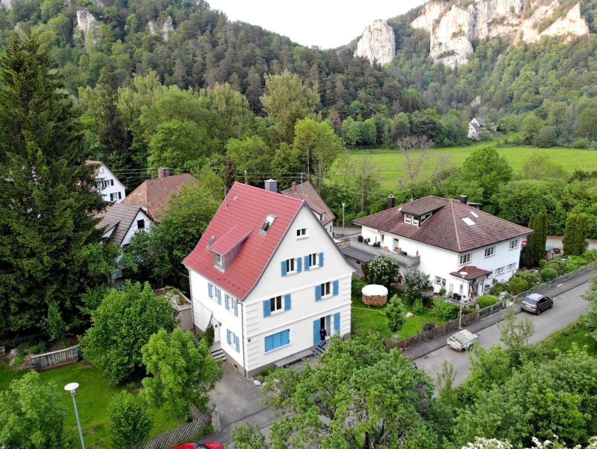 Zwergdackeladlerhirsch Apartment Beuron Exterior photo